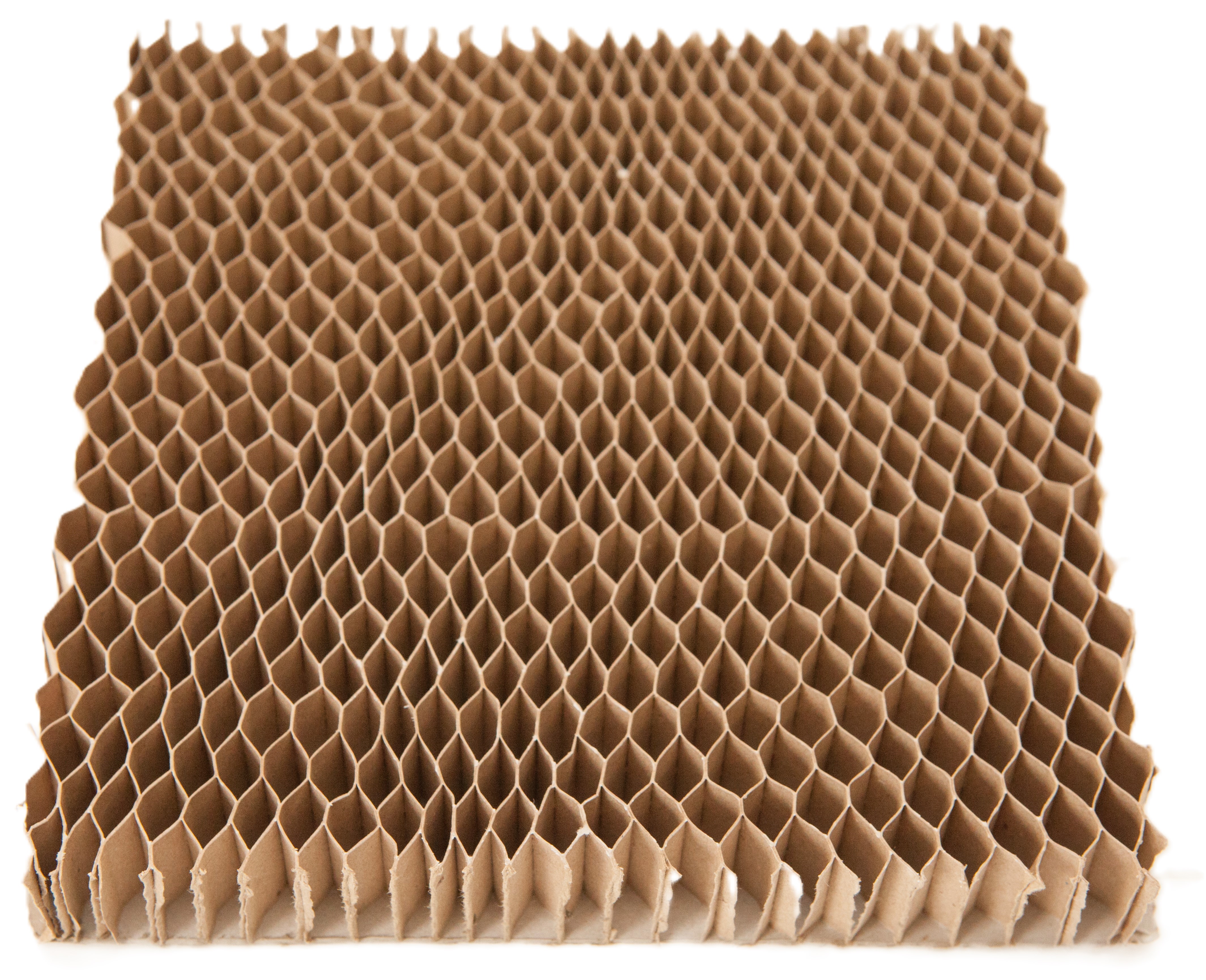 honeycomb cardboard.jpg
